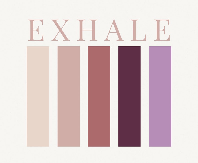 Beauty Brand Color Palette, Hex Codes, Branding Board, Color Scheme ...