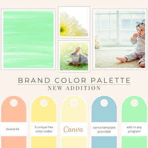 Brand Color Palette, Hex Codes, Branding Board, Color Scheme, Yellows, Blues, Pinks and Greens for Baby Colors, New Addition