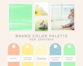 Brand Color Palette, Hex Codes, Branding Board, Color Scheme, Yellows, Blues, Pinks and Greens for Baby Colors, New Addition