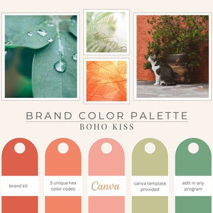 Boho Color Palette, Hex Codes, Branding Board, Color Scheme, Orange, Sage and Soft Pinks, Boho Kiss