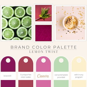 Brand Color Palette, Hex Codes, Branding Board, Color Scheme, Pinks, Yellows and Lime Green, Lemon Twist