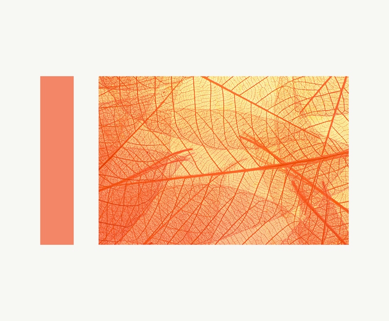 Boho Color Palette, Hex Codes, Branding Board, Color Scheme, Orange ...