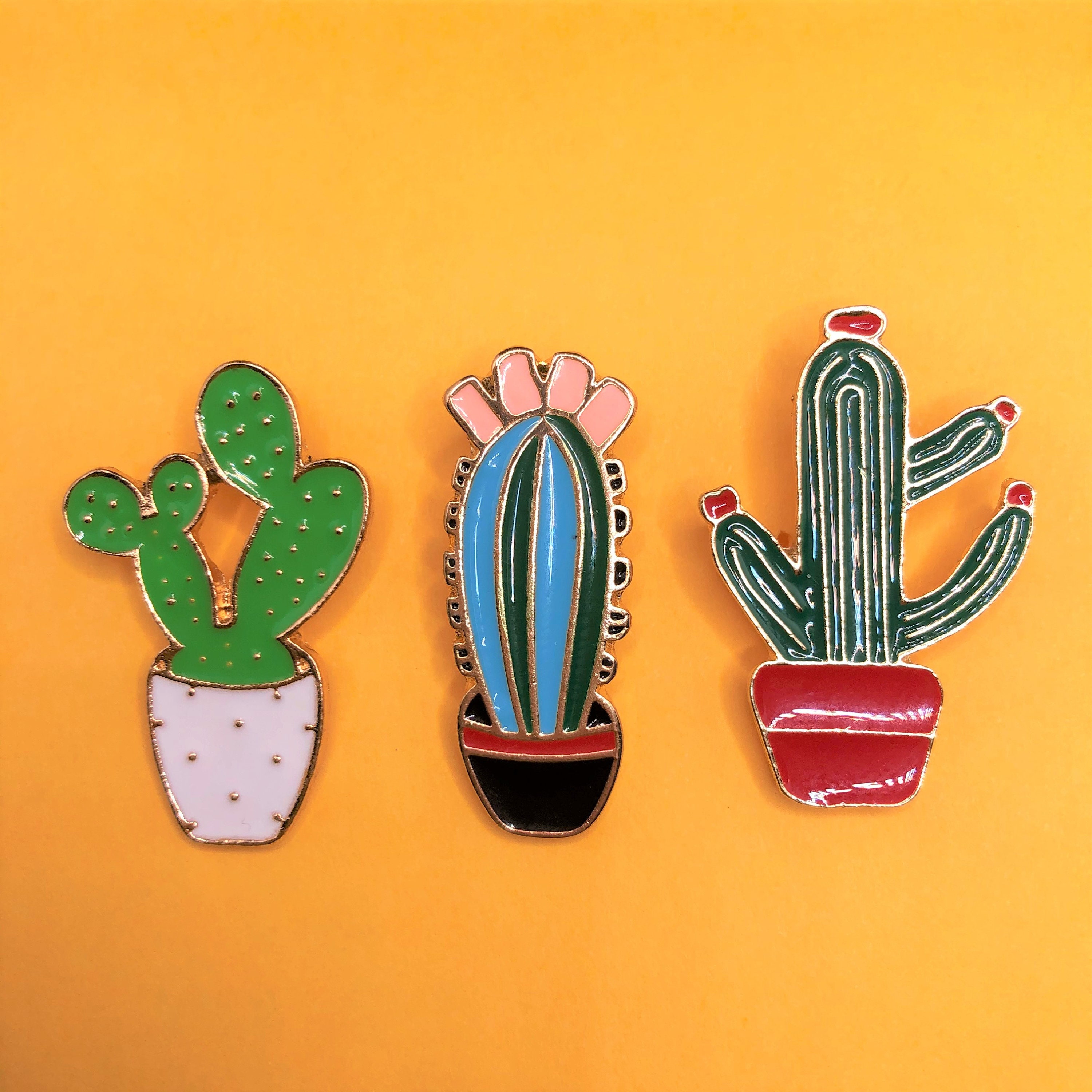 Cactus Enamel Pin Set 3 Pin Bundle Succulent Brooch | Etsy