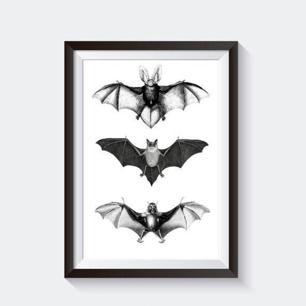 Halloween Art, Vintage Bats, Gothic Art, Download Digital Print, Printable