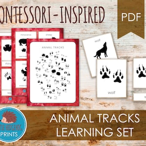 Conjunto de aprendizaje de huellas de animales // Material de impresión de tarjetas / PDF educativo preescolar inspirado en Montessori