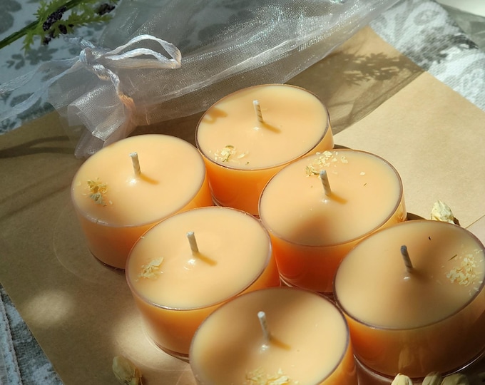 Pumpkin Caramel Tealight Candles | Fall Home Decor | Soy Wax Tealights | Fall Candles | Scented Candle Set | Set of 6