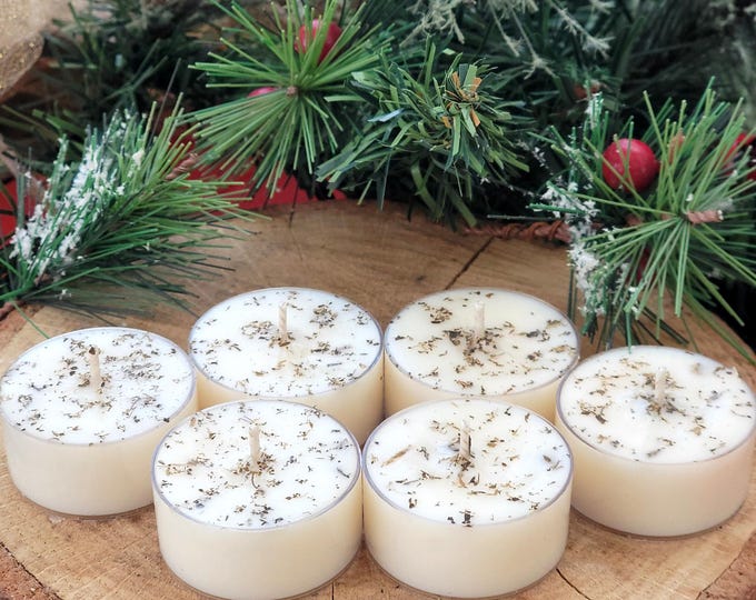 Fraser Fir Tealight Candles | Set of 6 | Soy Wax Tea Light Candles | Non Toxic Natural Tealights | Artisan Tealight Candles | Aromatherapy