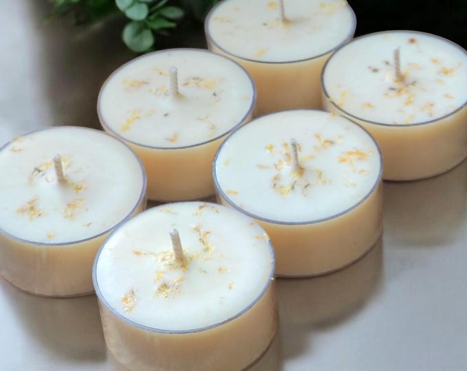 Saffron and Cedar Soy Tealight Candles | Scented Soy Wax Tealights | Home Decor