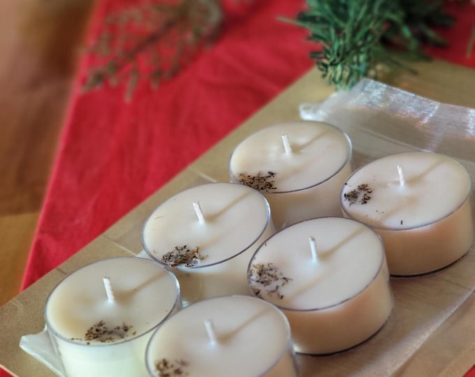 Balsam Fir Soy Tealight Candles: Set of 6, Decorative Tealight Candles, Winter Home Fragrance