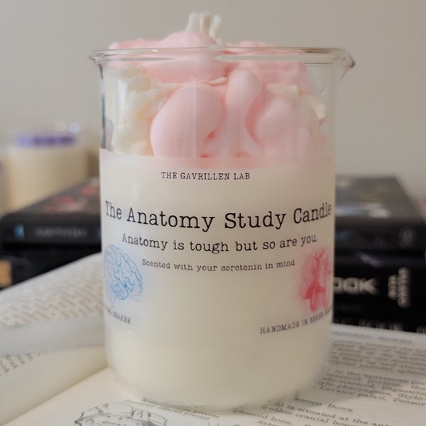 The Anatomy Study Candle | Nursing + Medical Gift | Choose Your Scent | Soy Candle | Reusable Beaker | Anatomy +Physiology | Science Gift