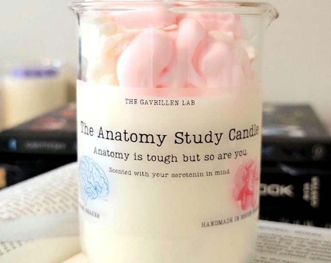 The Anatomy Study Candle | Nursing School Gift | Medical Student Gift | Soy Candle | Medical School Gift | Nursing Student Gift | Study Gift