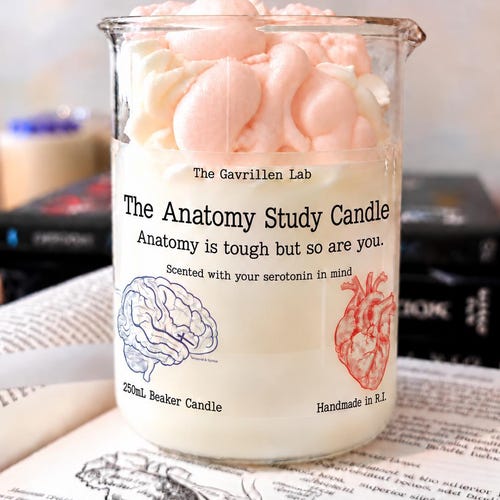 Anatomy Study Candle | Soy Beaker Candle | Anatomy Decor | Anatomy Teacher Gift | Medical Candle | Study Motivation | Nursing Student Gift
