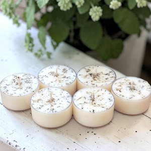 May include: Six round, ivory-colored tea light candles with a light dusting of dried herbs on top. Each candle has a single wick. The candles are arranged on a white, distressed wooden surface, with greenery in the background.