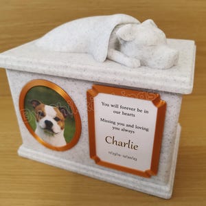 Forever Cherished, Staffordshire Bull Terrier Memorial Urn Box, ornate sleeping doggy urn, stylish dog urn.