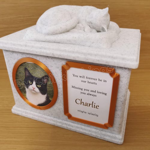 Forever Cherished, boîte urne commémorative chat, chaton, urne chaton endormi ornée, urne chat élégante.