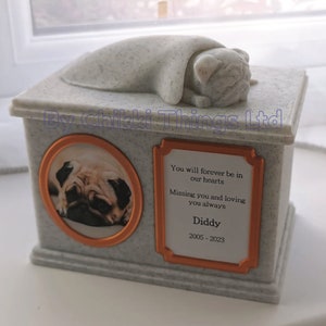Forever Cherished, Mops Gedenk-Urne Box, Mops, verzierte schlafende Hündchen Urne, stilvolle Hundeurne.