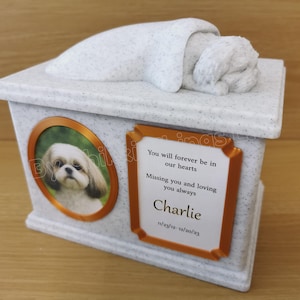Für immer geschätzt, Lhasa Apso Gedenkurne, Lhasa Apso Urne, Shih Tzus Urne, verzierte Hundeurne, stilvolle Hundeurne.