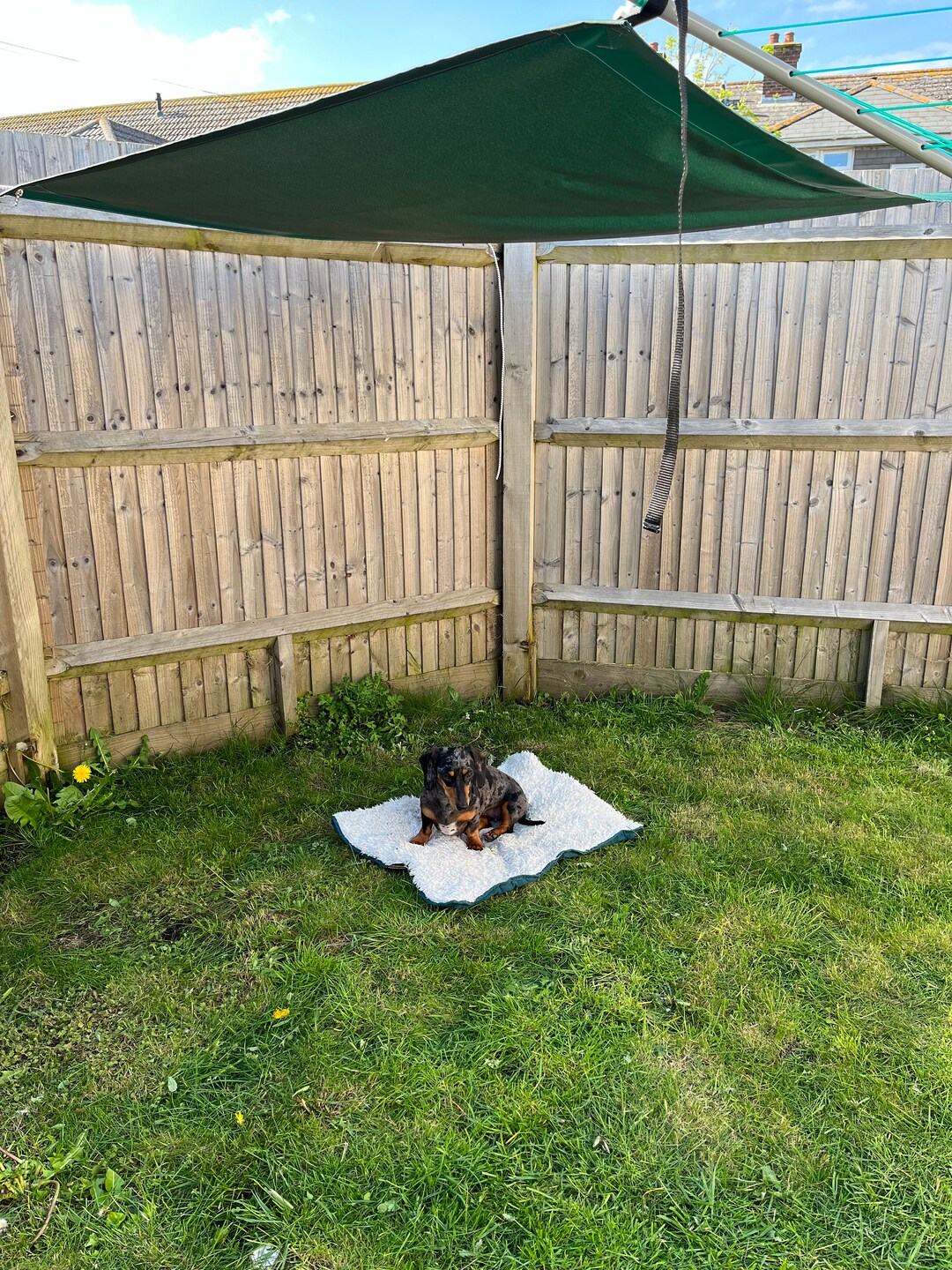 Sun Shade Garden Canopy Dog Shade Canopy Etsy