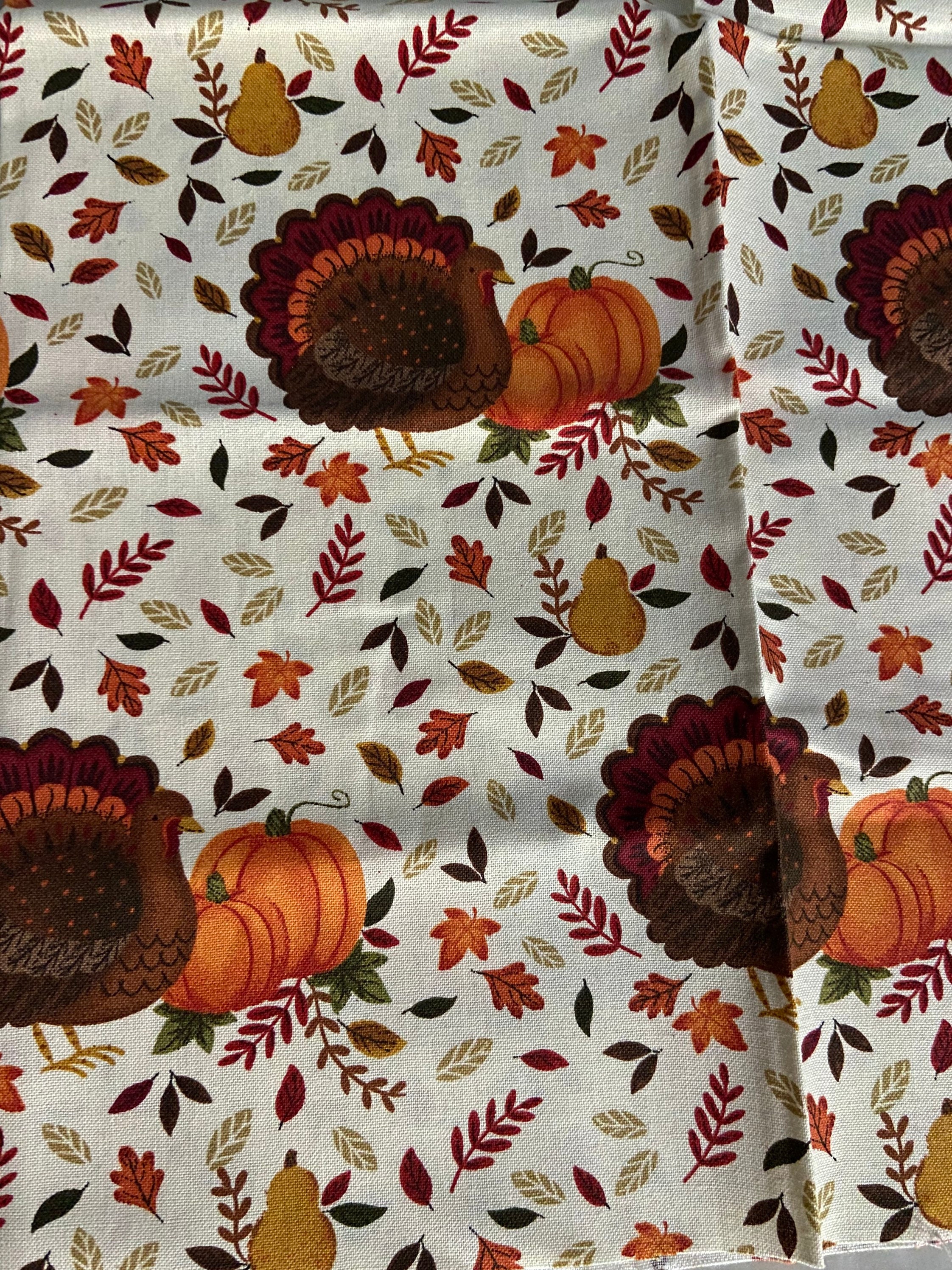 Denver thanksgiving weekend events