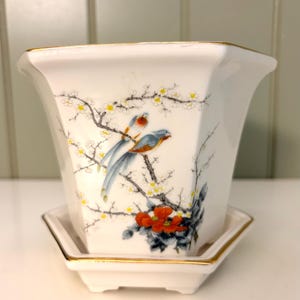May include: A white hexagonal ceramic planter with a matching saucer, featuring a gold-trimmed rim. The exterior is decorated with a detailed illustration of two blue and orange birds perched on flowering branches with small white blossoms and red flowers.