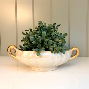 May include: A cream-colored, scalloped ceramic planter with gold handles, filled with a lush, green plant. The planter has an iridescent sheen, adding a touch of elegance. Perfect for adding a touch of nature to any room.