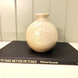 Vintage How To Take Better Pictures 1981 black hardcover . Michael Busselle
