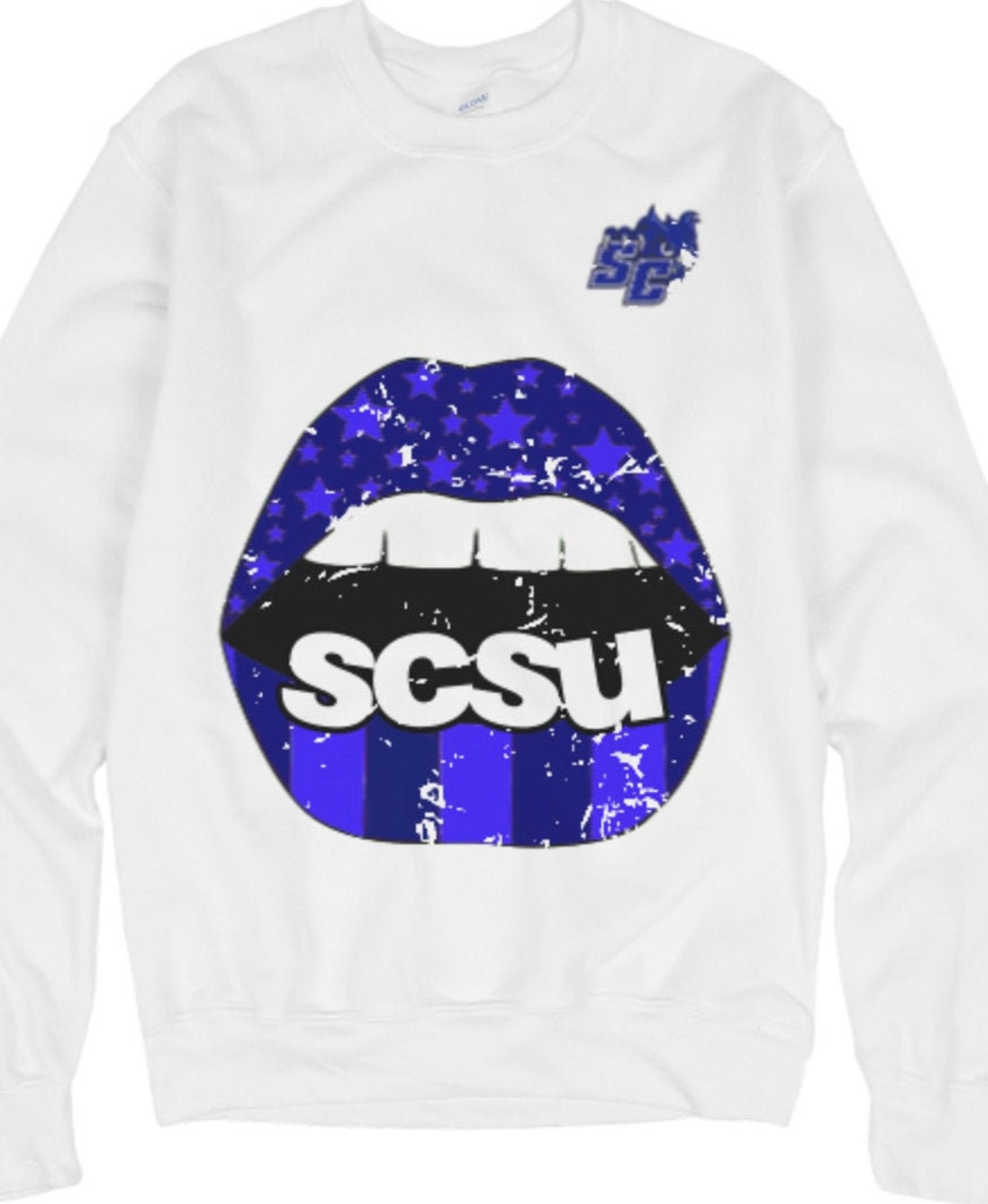 SCSU Sweatshirt, Fairfield Sweatshirt, UCONN Sweatshirt, SCSU, Uconn