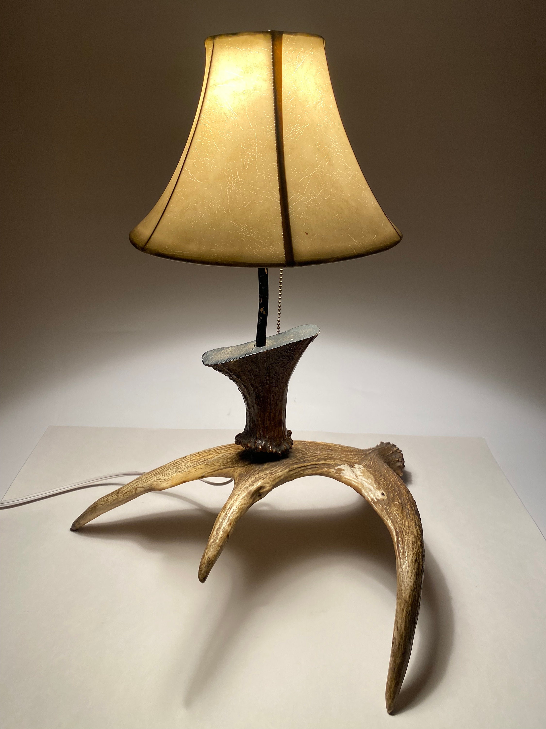 Table Lamp Horn 