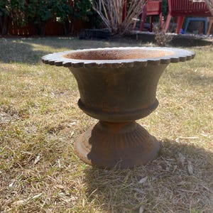 May include: A weathered cast iron urn with a decorative, scalloped rim. The dark planter sits on a pedestal base, showing signs of rust and age. The garden decor is set on a grassy lawn.