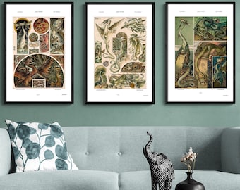 Dragons, Set of 3 Dragon Prints, Art Nouveau Print Set, Vintage Dragon Illustrations, Fantasy Art Posters, House of Dragons Decor