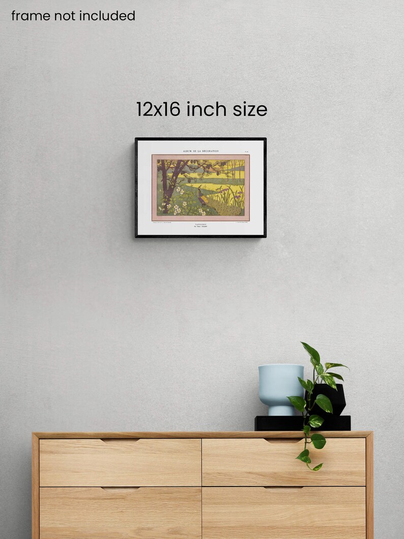 May include: A black framed print of a vintage illustration of a bird in a landscape. The print is 12x16 inches and the title of the illustration is "Ailes de la Dromader." The print is hanging on a light gray wall above a wooden dresser.