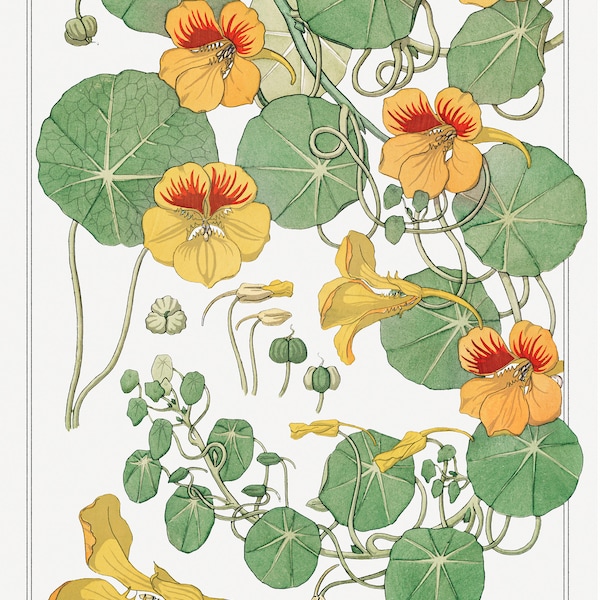 Art Nouveau Print Set, Nasturtium 3 Piece French Art Prints, 24x36 Prints 3 Pieces, Art Prints Set of 3, Vintage Botanical Illustration Set