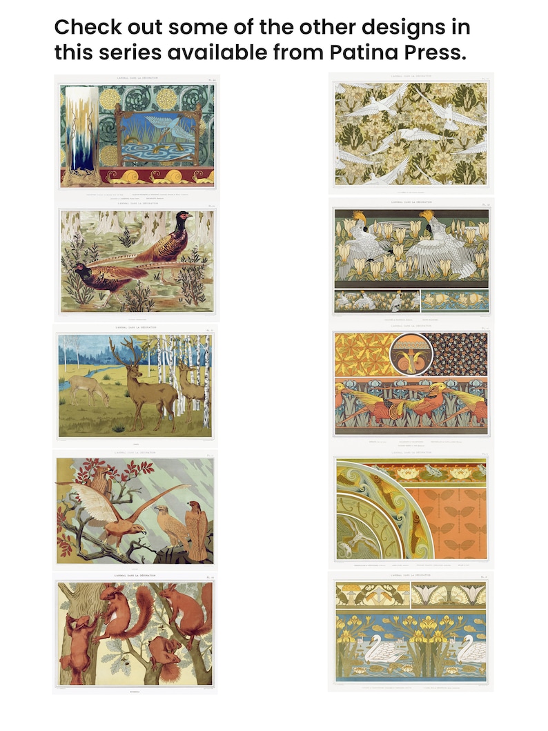 Puede incluir: Una colecci&oacute;n de diez ilustraciones vintage que representan diferentes escenas de la naturaleza. Las ilustraciones est&aacute;n en un estilo decorativo con un enfoque en p&aacute;jaros, animales y patrones florales. Las ilustraciones est&aacute;n impresas en papel y tienen un formato rectangular.