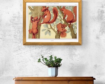 Vintage Art Nouveau Print, Squirrels from L'animal dans la Décoration by Maurice Pillard Verneuil, Pheasant Art Print, Animal Art Deco Print