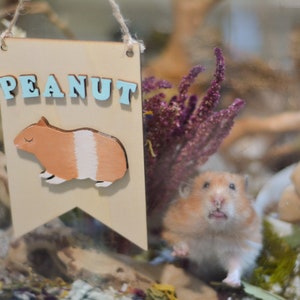 Custom pet hamster wooden name sign