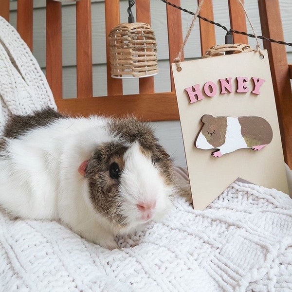 Custom pet guinea pig wooden name sign