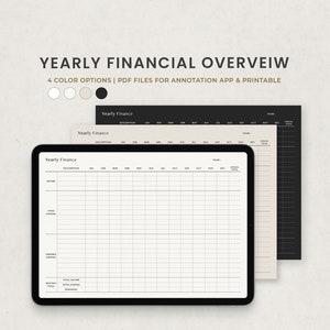 Descripción general financiera anual, rastreador anual de ingresos y gastos Plantilla de planificador digital para Goodnotes en Ipad, PDF de carta imprimible