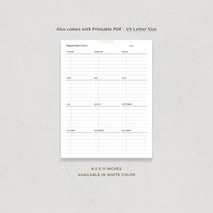 May include: Printable calendar planner with a simple design. The calendar is divided into 12 months, with each month having its own column. The calendar is 8.5 x 11 inches and is available in white.