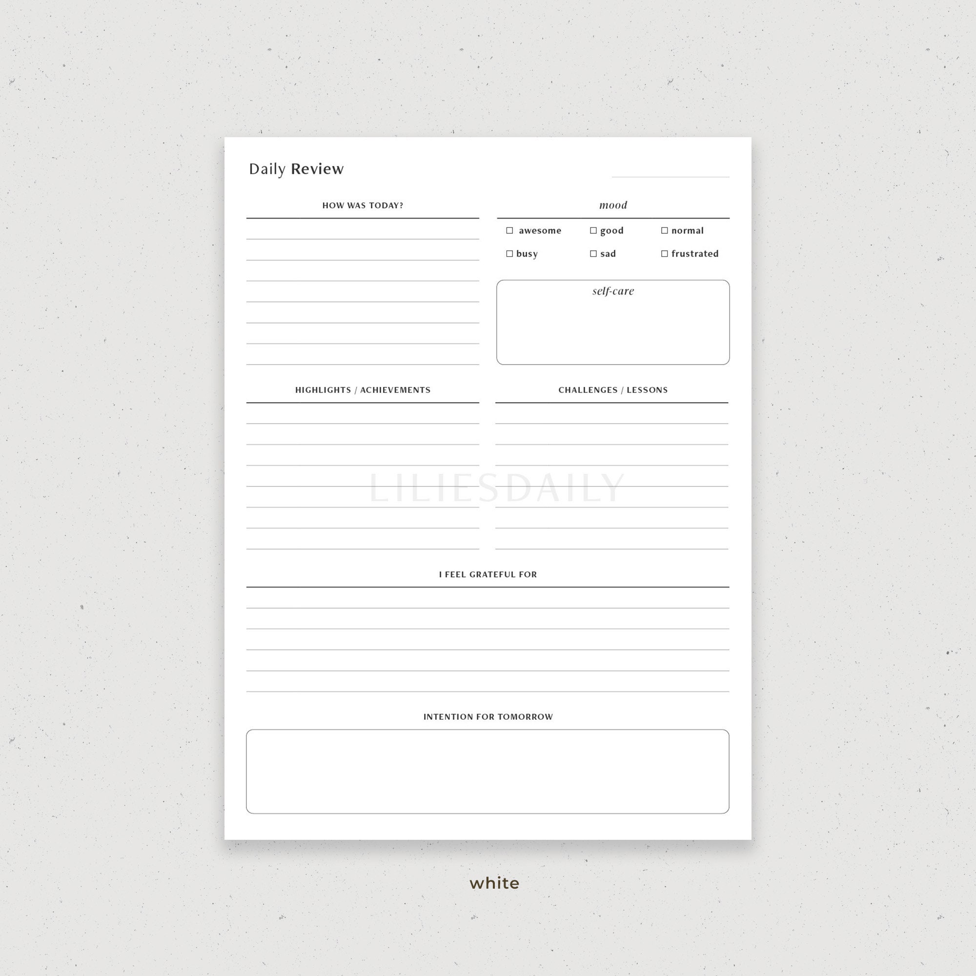 Daily Reflection Template.pdf Daily Reflection Journal, Digital Daily Review, Daily Check in Template ...