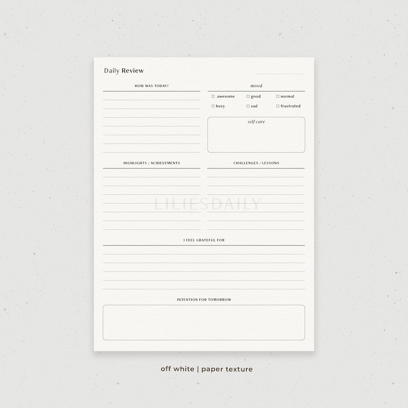 Daily Reflection Journal, Digital Daily Review, Daily Check in Template ...