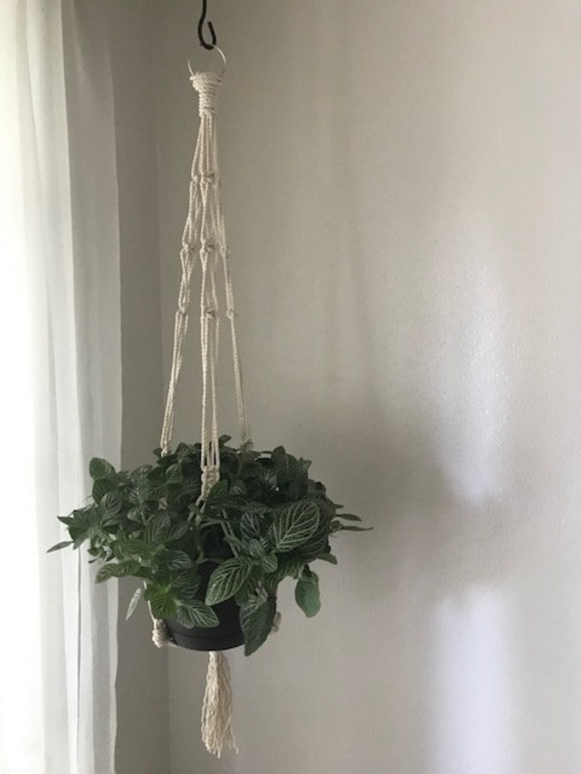 Large Braid Plant Hanger Etsy