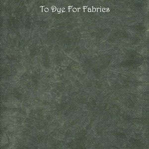 Puede incluir: Una pieza de tela verde oscuro con una textura moteada. El texto impreso en la tela dice: Forest Shadows, 14 ct Aida Zweigart, To Dye For Fabrics. El material presenta un patrón de cuadrícula visible característico de la tela para punto de cruz.