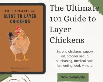 May include: An image of a tablet displaying "The Ultimate 101 Guide to Layer Chickens" with a brown background and a chicken illustration. The text includes topics like brooder setup and medical care. A green button says "Now Available."