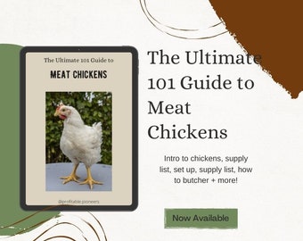 May include: An ebook cover titled "The Ultimate 101 Guide to Meat Chickens" featuring a white chicken with yellow legs. The text includes "Intro to chickens, supply list, set up, supply list, how to butcher + more!" and "Now Available."