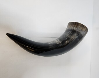 May include: A black and gray polished horn with a curved shape.