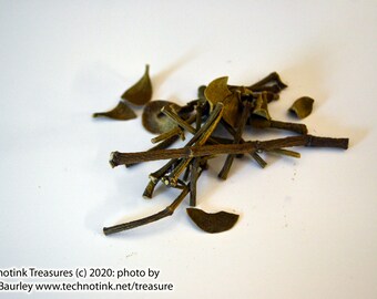 Mistletoe, American - 1 ounce