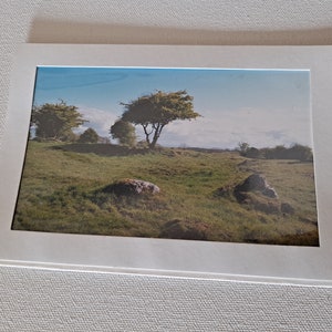 Stone Circle at Hill of Uisneach Ireland Photo Card by Tom Baurley 2012