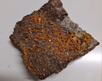 Kryształy wulfenitu 2,5 x 2,25 x 0,5 cala