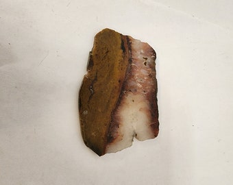 Flame Agate Slab, cut and polished approx 3.25x2x.10 inches