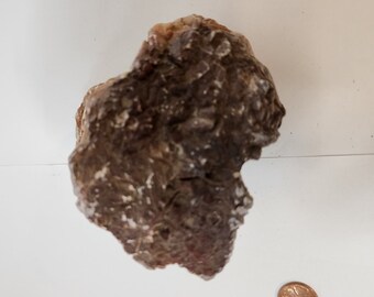 Small chunk of Gypsum with micro crystals growing on it 4" x 3" x 3"